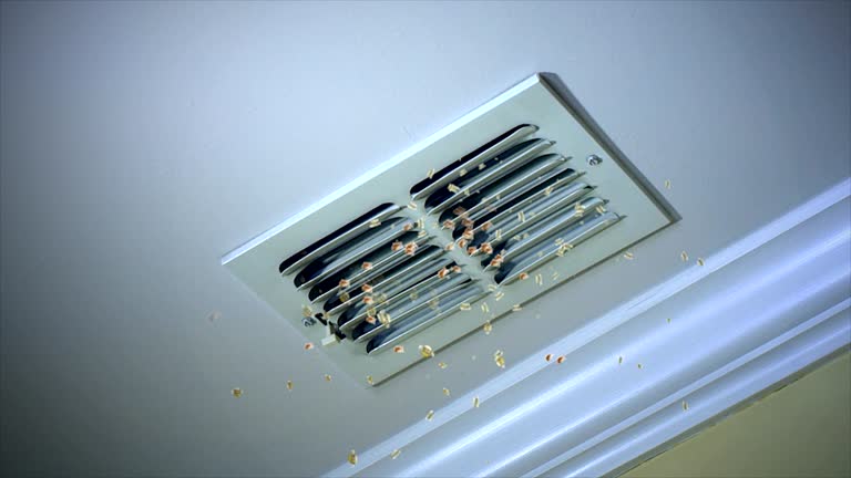 Best Home Air Vent Cleaning  in St Paris, OH
